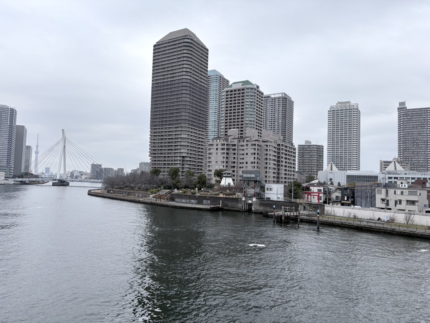 佃大橋から望む佃島。